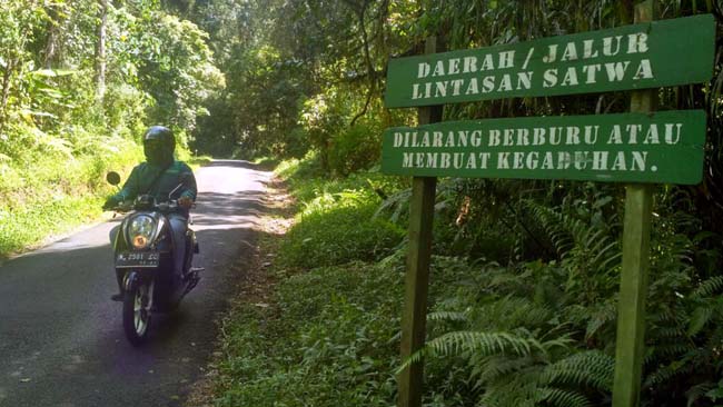 Lumajang-Malang Lewat Ranupani Sambil Menikmati Keindahan Semeru