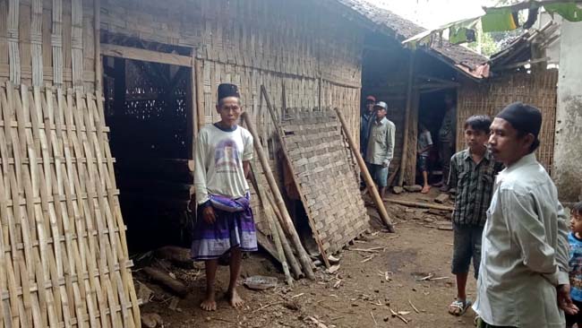 Maling Sapi Lumajang Ngamuk, Sikat 4 Ekor Dalam 1 Kandang