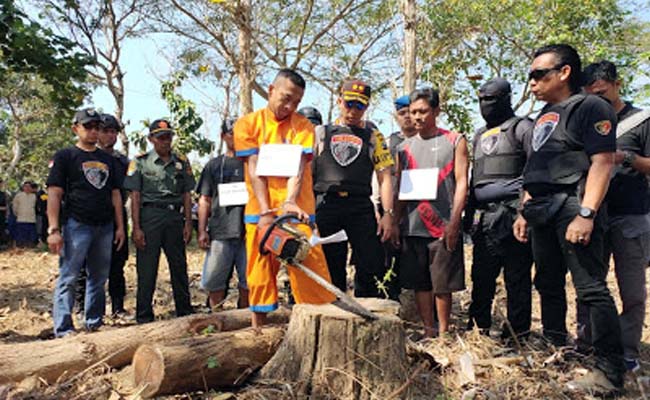 Polres Lumajang Ringkus Penjarah Hutan