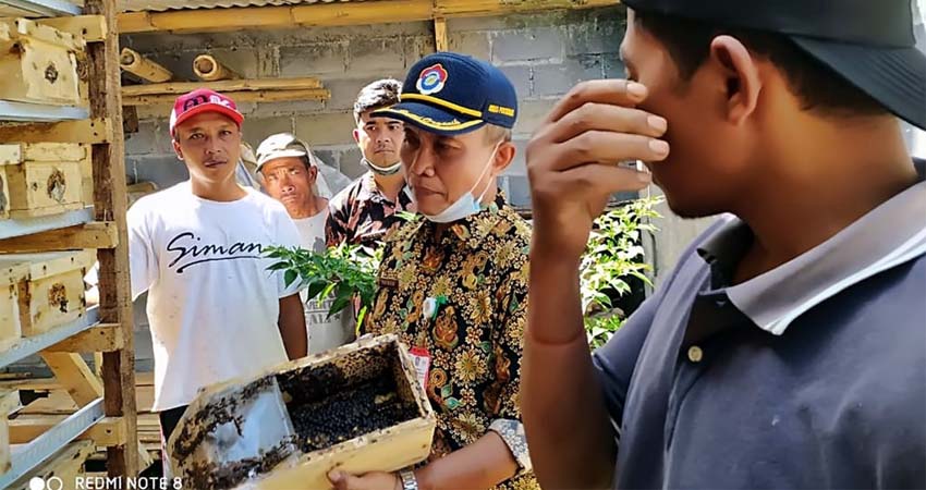 Virus Corona Membawa Berkah bagi Pembudidaya Madu Klanceng Lumajang