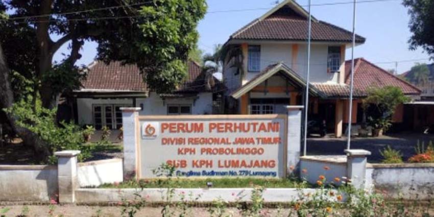 Pemukiman Warga Burno Lumajang, Perhutani Anggap Kawasan Hutan