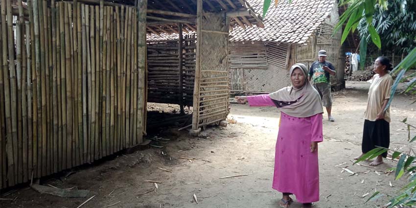 Bobol 3 Kandang Gondol 7 Ekor, Maling Sapi Lumajang Makin Ngeri, Warga Resah