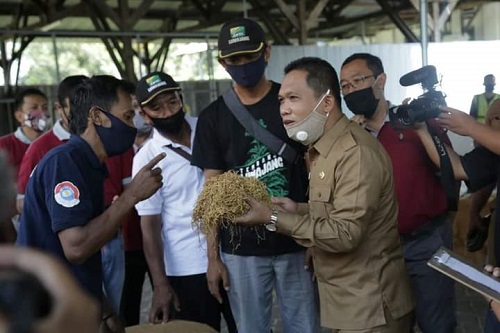 TINJAU LANGSUNG: Bupati Lumajang, H Thoriqul Haq MML, hari ini, Senin (28'9/2020) mendampingi APTI meninjau langsung ke gudang tembakau milik PT. IDS.