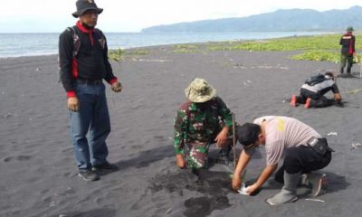Rehabilitasi Pesisir Pantai Watu Godek, TNI bersama Polsek dan Perhutani Tempursari Lumajang Tanam Bibit Nyamplung