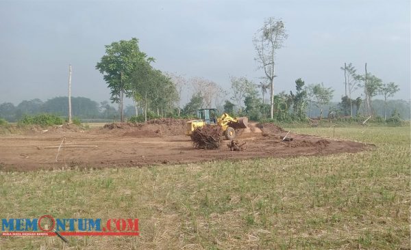 Keruk Tanah untuk Matrial Stadion Desa, Izin Penambangan Kades Yosowilangun Lor Lumajang Disoal