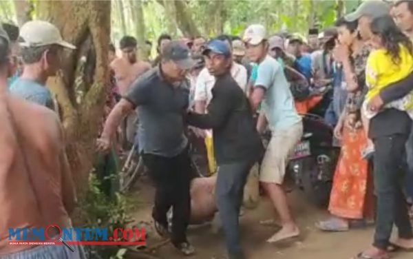 Seorang Pemuda Dimassa Warga Tegalciut Klakah Lumajang karena Diduga Hendak Gondol Motor