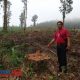 Masa Daur Jadi Alasan Perhutani KPH Probolinggo Tetap Lakukan Penebangan di Hutan Burno Lumajang