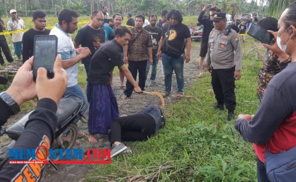 Jatanras Polda Jatim Ringkus Tersangka Pembunuhan Janda Muda di Lumajang