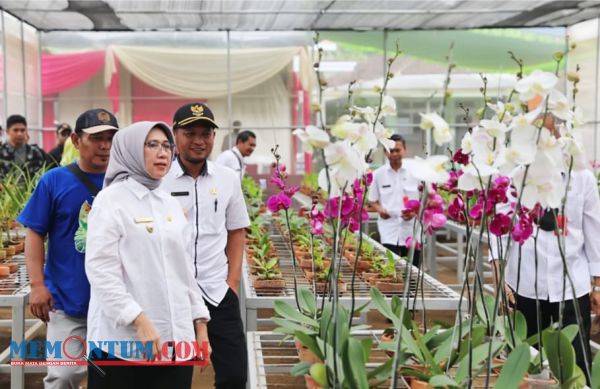 Resmikan Green House Anggrek Purworejo Lumajang, Bunda Indah Berharap Bisa Jadi Kampung Bunga dan Ekspansi Luar Jatim